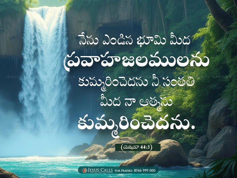 blessing-img
