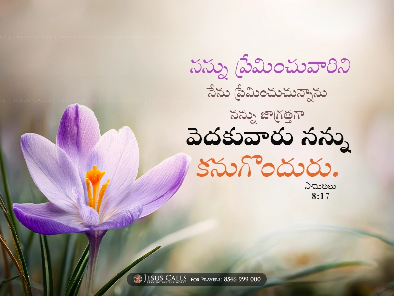 blessing-img