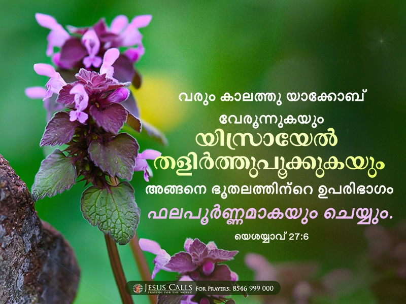 blessing-img