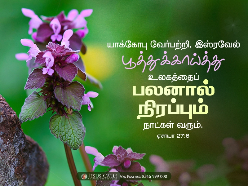 blessing-img