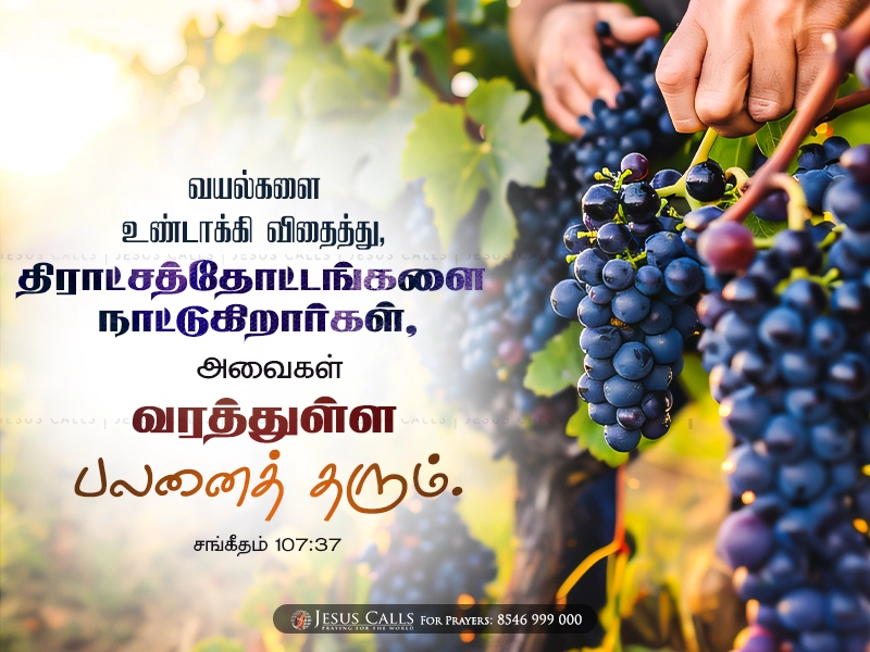 blessing-img